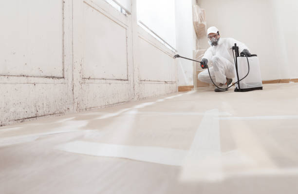 24/7 Emergency Mold Remediation experts in Boston, MA